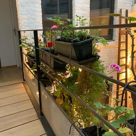 Galerie Jacqueline Storme 3* リール