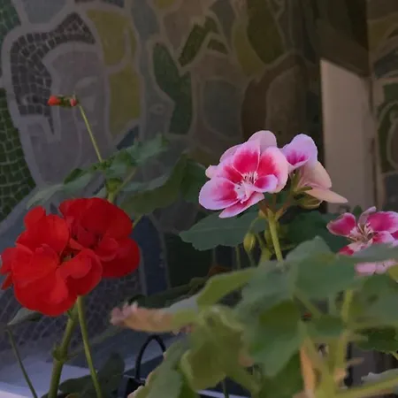 Galerie Jacqueline Storme 3*