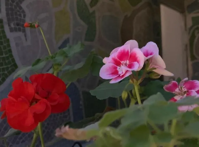 Galerie Jacqueline Storme 3*