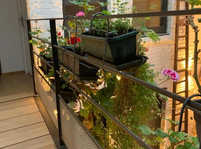 Galerie Jacqueline Storme 3* Lilla